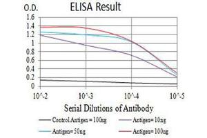 Black line: Control Antigen (100 ng),Purple line: Antigen (10 ng), Blue line: Antigen (50 ng), Red line:Antigen (100 ng) (CD147 抗体  (AA 138-323))