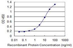 Detection limit for recombinant GST tagged FKBP5 is 0. (FKBP5 抗体  (AA 1-457))