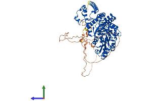 Protein Structure (PS) image for Histidine Decarboxylase (HDC) (AA 1-662) protein (His tag) (ABIN7562983)