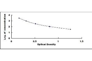 Typical standard curve (Neurotensin ELISA 试剂盒)