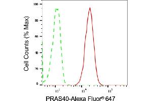 anti-AKT1 Substrate 1 (Proline-Rich) (AKT1S1) antibody