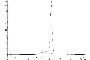 Size-exclusion chromatography-High Pressure Liquid Chromatography (SEC-HPLC) image for Natural Killer Cell Receptor 2B4 (CD244) (AA 22-221) protein (His tag) (ABIN7273780)