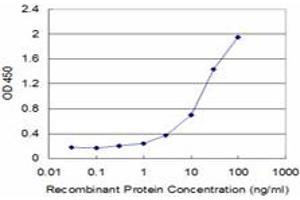 Detection limit for recombinant GST tagged DDB1 is approximately 0. (DDB1 抗体  (AA 1044-1140))