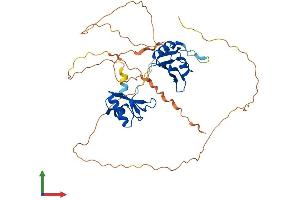 Protein Structure (PS) image for RNA Binding Motif, Single Stranded Interacting Protein 1 (RBMS1) (AA 1-406) protein (His tag) (ABIN7551180)