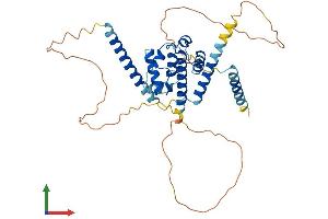 Protein Structure (PS) image for Centrosomal Protein 44kDa (CEP44) (AA 1-386) protein (His tag) (ABIN7557460)