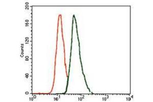 Flow cytometric analysis of A549 cells using T mouse mAb (green) and negative control (red). (T Antigen (AA 218-352) 抗体)