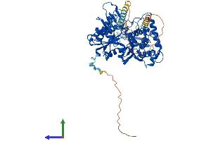 Protein Structure (PS) image for ARP8 Actin-Related Protein 8 Homolog (ACTR8) (AA 1-624) protein (His tag) (ABIN7552407)