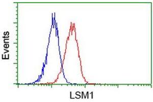 Image no. 2 for anti-LSM1 Homolog, U6 Small Nuclear RNA Associated (LSM1) (AA 1-133) antibody (ABIN1490576)