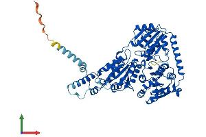 AlphaFold protein structure predicition of Human Recombinant ILVBL Protein, UniprotID A1L0T0 (ILVBL Protein (AA 1-632) (His tag))