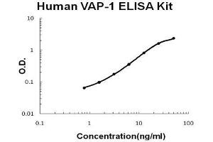 ELISA image for Amine Oxidase, Copper Containing 3 (Vascular Adhesion Protein 1) (AOC3) ELISA Kit (ABIN5692226)