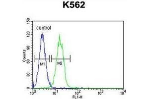 Flow cytometric analysis of K562 cells usinb JMJD2C Antibody (C-term) Cat. (KDM4C 抗体  (C-Term))