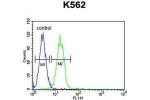 Flow cytometric analysis of K562 cells usinb JMJD2C Antibody (C-term) Cat.