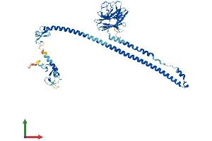 AlphaFold protein structure predicition of Mouse Recombinant Trim10 Protein, UniprotID Q9WUH5