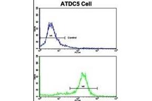 Flow cytometric analysis of ATDC5 cells using MSRB2 Antibody (Center)(bottom histogram) compared to a negative control cell (top histogram). (MSRB2 抗体  (AA 44-73))