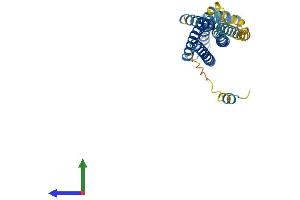 Protein Structure (PS) image for Syntaxin 2 (STX2) (AA 1-289) protein (His tag) (ABIN7556847)