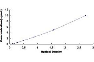 Typical standard curve (SLC30A4 ELISA 试剂盒)