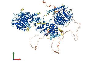 Protein Structure (PS) image for Regulatory Associated Protein of mTOR, Complex 1 (RPTOR) (AA 1-1335) protein (His tag) (ABIN7555266)