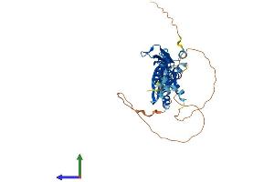 Protein Structure (PS) image for TAR (HIV-1) RNA Binding Protein 2 (TARBP2) (AA 1-366) protein (His tag) (ABIN7555805)