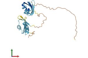 Protein Structure (PS) image for serine/arginine-Rich Splicing Factor 9 (SFRS9) (AA 1-222) protein (His tag) (ABIN7560824)