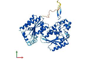 Protein Structure (PS) image for 6-phosphofructo-2-Kinase/fructose-2,6-Biphosphatase 4 (PFKFB4) (AA 1-469) protein (His tag) (ABIN7547585)