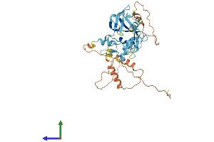 AlphaFold protein structure predicition of Human Recombinant PRDM12 Protein, UniprotID Q9H4Q4
