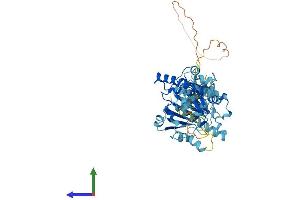 AlphaFold protein structure predicition of Human Recombinant HSP90AB4P Protein, UniprotID Q58FF6 (HSP90AB4P Protein (AA 1-505) (His tag))