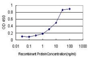 Detection limit for recombinant GST tagged TCP1 is approximately 0. (TCP1 alpha/CCTA 抗体  (AA 1-556))