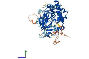 Protein Structure (PS) image for 5'-Nucleotidase Domain Containing 1 (NT5DC1) (AA 1-467) protein (His tag) (ABIN7559151)