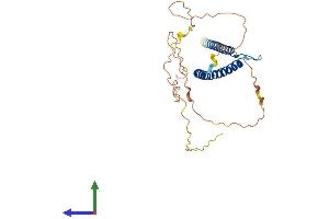 AlphaFold protein structure predicition of Mouse Recombinant Tfec Protein, UniprotID Q9WTW4