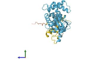 Protein Structure (PS) image for Secretagogin, EF-Hand Calcium Binding Protein (SCGN) (AA 1-276) protein (His tag) (ABIN7545968)