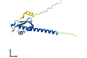 AlphaFold protein structure predicition of Human Recombinant OOEP Protein, UniprotID A6NGQ2