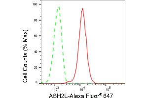 Flow cytometric analysis of ASH2L expression in C2C12 cells using ASH2L antibody (ABIN7800326), 1:2,000). (Recombinant ASH2L 抗体)