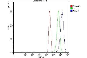 Flow Cytometry analysis of MCF-7 cells using anti-RAGE/AGER antibody (ABIN7601722). (RAGE 抗体  (AA 43-404))