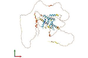 Protein Structure (PS) image for Zinc Finger and SCAN Domain Containing 18 (ZSCAN18) (AA 1-510) protein (His tag) (ABIN7545371)