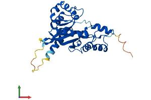 Protein Structure (PS) image for Nicotinamide Nucleotide Adenylyltransferase 3 (NMNAT3) (AA 1-245) protein (His tag) (ABIN7560317)