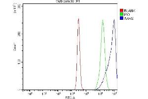 Flow Cytometry analysis of K562 cells using anti-AlaRS/AARS1 antibody (ABIN7602380). (Alanine--tRNA Ligase, Mitochondrial (AARS-1) (AA 729-968) 抗体)