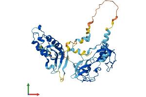 Protein Structure (PS) image for Neutrophil Cytosol Factor 1 (NCF1) (AA 1-390) protein (His tag) (ABIN7549691)