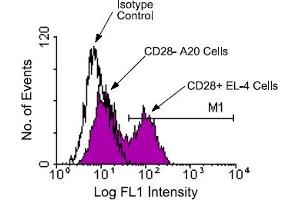 Flow Cytometry (FACS) image for anti-CD28 (CD28) antibody (FITC) (ABIN370907) (CD28 抗体  (FITC))