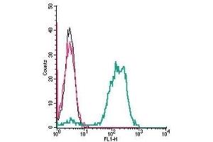 Flow Cytometry (FACS) image for anti-Transient Receptor Potential Cation Channel, Subfamily V, Member 2 (TRPV2) (AA 417-430), (Extracellular) antibody (ABIN7043846)