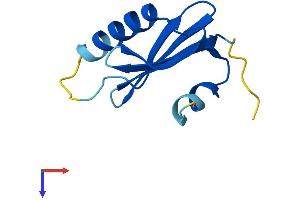 LAMTOR4 Protein (AA 1-99) (His tag)