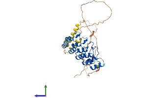 Protein Structure (PS) image for Ankyrin Repeat, Family A (RFXANK-Like), 2 (ANKRA2) (AA 1-313) protein (His tag) (ABIN7552161)