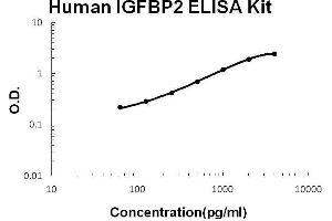 Human IGFBP2 PicoKine ELISA Kit standard curve (IGFBP2 ELISA 试剂盒)