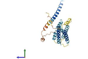 Protein Structure (PS) image for Transmembrane Protein 98 (TMEM98) (AA 1-226) protein (His tag) (ABIN7544656)