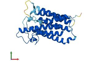 Protein Structure (PS) image for Steroid-5-alpha-Reductase, alpha Polypeptide 2 (3-Oxo-5 alpha-Steroid delta 4-Dehydrogenase alpha 2) (SRD5A2) (AA 1-254) protein (His tag) (ABIN7560439)