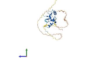 Protein Structure (PS) image for THAP Domain Containing 10 (THAP10) (AA 1-257) protein (His tag) (ABIN7544281)