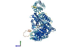 Protein Structure (PS) image for NLR Family, CARD Domain Containing 4 (NLRC4) (AA 1-1024) protein (His tag) (ABIN7554754)