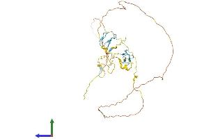 Protein Structure (PS) image for Zinc Finger Protein 265 (Zranb2) (AA 1-330) protein (His tag) (ABIN7545604)