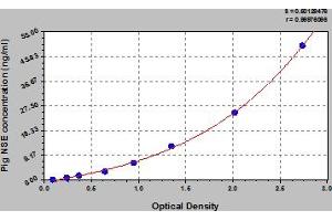 Typical Standard Curve (ENO2/NSE ELISA 试剂盒)