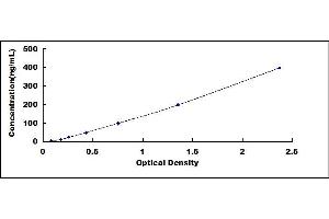 ORM1 ELISA 试剂盒