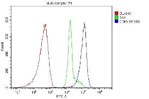 anti-CD69 (CD69) (AA 101-148) antibody